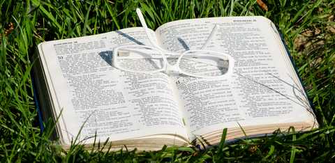 Scriptural Focus
